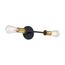 Ryder 2 Light Vanity Fixture Black Finish w/ Brushed Brass Sockets