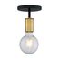 Ryder 1 Light Semi Flush Fixture Black Finish w/ Brushed Brass Sockets