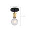 Ryder 1 Light Semi Flush Fixture Black Finish w/ Brushed Brass Sockets