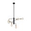 Ryder 6 Light Chandelier Fixture Black Finish w/ Brushed Brass Sockets