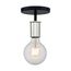 Ryder 1 Light Semi Flush Fixture Black Finish w/ Polished Nickel Sockets