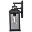 Corning 1 Light Medium Wall Lantern Matte Black w/ Clear Glass