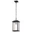 Sullivan Collection Outdoor 16 inch Hanging Light Matte Black Finish w/ Clear Seeded Glass