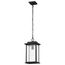 Sullivan Collection Outdoor 16 inch Hanging Light Matte Black Finish w/ Clear Seeded Glass