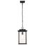 Sullivan Collection Outdoor 16 inch Hanging Light Matte Black Finish w/ Clear Seeded Glass