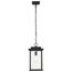 Sullivan Collection Outdoor 16 inch Hanging Light Matte Black Finish w/ Clear Seeded Glass
