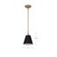 Dover 1 Light Small Pendant Black w/ Vintage Brass