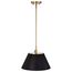Dover 1 Light Medium Pendant Black w/ Vintage Brass