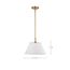 Dover 1 Light Medium Pendant White w/ Vintage Brass