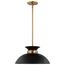 Perkins 1 Light Small Pendant Matte Black w/ Burnished Brass