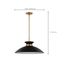 Perkins 1 Light Medium Pendant Matte Black w/ Burnished Brass