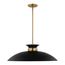 Perkins 1 Light Large Pendant Matte Black w/ Burnished Brass