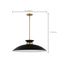 Perkins 1 Light Large Pendant Matte Black w/ Burnished Brass