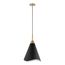Tango 1 Light Medium Pendant Matte Black w/ Burnished Brass