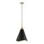 Tango 1 Light Medium Pendant Matte Black w/ Burnished Brass