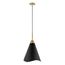 Tango 1 Light Medium Pendant Matte Black w/ Burnished Brass
