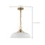 Colony 1 Light Small Pendant Matte White w/ Burnished Brass