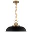 Colony 1 Light Small Pendant Matte Black w/ Burnished Brass