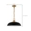 Colony 1 Light Small Pendant Matte Black w/ Burnished Brass