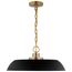 Colony 1 Light Medium Pendant Matte Black w/ Burnished Brass
