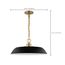 Colony 1 Light Medium Pendant Matte Black w/ Burnished Brass