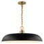 Colony 1 Light Large Pendant Matte Black w/ Burnished Brass
