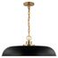 Colony 1 Light Large Pendant Matte Black w/ Burnished Brass