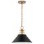 Outpost 1 Light Medium Pendant Matte Black w/ Burnished Brass