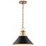 Outpost 1 Light Medium Pendant Matte Black w/ Burnished Brass