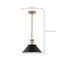 Outpost 1 Light Medium Pendant Matte Black w/ Burnished Brass