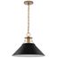 Outpost 1 Light Large Pendant Matte Black w/ Burnished Brass