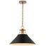 Outpost 1 Light Large Pendant Matte Black w/ Burnished Brass