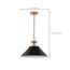 Outpost 1 Light Large Pendant Matte Black w/ Burnished Brass