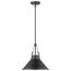 Zelda 1 Light Pendant Medium Base 60 Watt Black Finish Black Metal Shade Faux Leather Straps