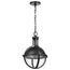 Lincoln 1 Light Medium Pendant Medium Base 60 Watt Matte Black Finish Clear Seeded Glass