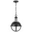 Lincoln 1 Light Medium Pendant Medium Base 60 Watt Matte Black Finish Clear Seeded Glass
