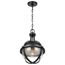 Lincoln 1 Light Medium Pendant Medium Base 60 Watt Matte Black Finish Clear Seeded Glass