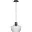 Destin 1 Light Mini Pendant Medium Base 60 Watt Black And Silver Accent Finish Clear Ribbed Glass