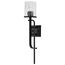 Terrace 1 Light Wall Sconce Matte Black Finish Crackel Glass