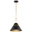Adina 1 Light Medium Pendant Matte Black and Natural Brass Finish