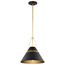 Adina 1 Light Medium Pendant Matte Black and Natural Brass Finish