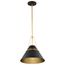 Adina 1 Light Medium Pendant Matte Black and Natural Brass Finish