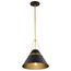 Adina 1 Light Medium Pendant Matte Black and Natural Brass Finish