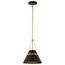 Adina 1 Light Small Pendant Matte Black and Natural Brass Finish