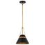 Adina 1 Light Small Pendant Matte Black and Natural Brass Finish
