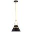 Adina 1 Light Small Pendant Matte Black and Natural Brass Finish