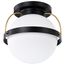 Lakeshore 1 Light Medium Flush Matte Black & Natural Brass Finish White Opal Glass