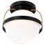 Lakeshore 1 Light Medium Flush Matte Black & Natural Brass Finish White Opal Glass