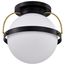 Lakeshore 1 Light Large Flush Matte Black & Natural Brass Finish White Opal Glass