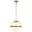 Lakeshore 1 Light Medium Pendant Natural Brass Finish White Opal Glass